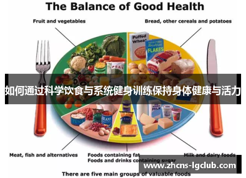 如何通过科学饮食与系统健身训练保持身体健康与活力
