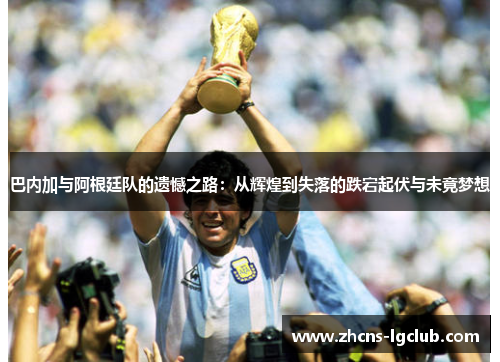 巴内加与阿根廷队的遗憾之路：从辉煌到失落的跌宕起伏与未竟梦想