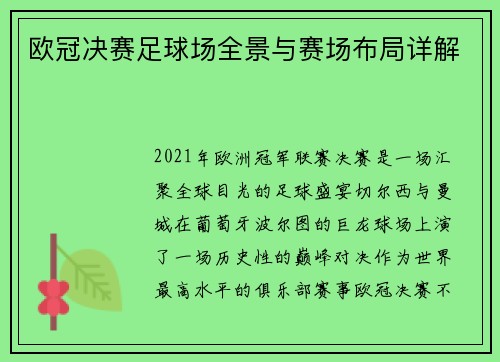 欧冠决赛足球场全景与赛场布局详解