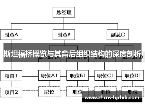 斯坦福桥概览与其背后组织结构的深度剖析